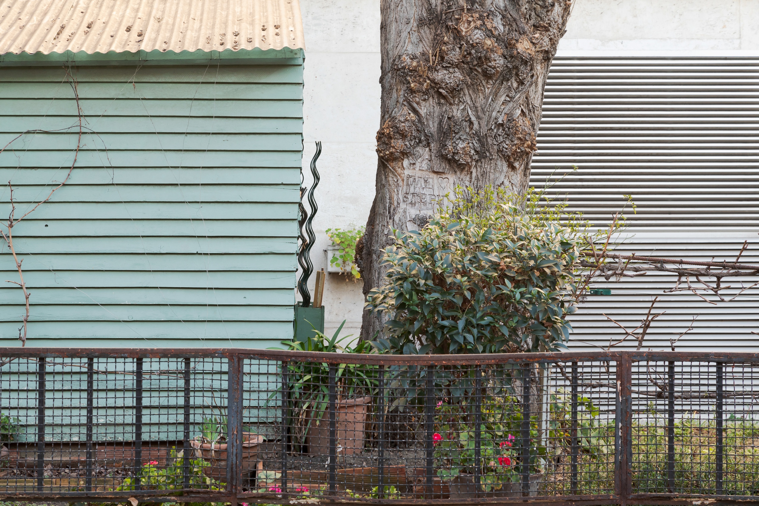 À côté d’une cabane de jardin vert d’eau surmontée d’un toit en tôle, un vieux peuplier porte la mention : « We love Steph », gravée dans le tronc.   